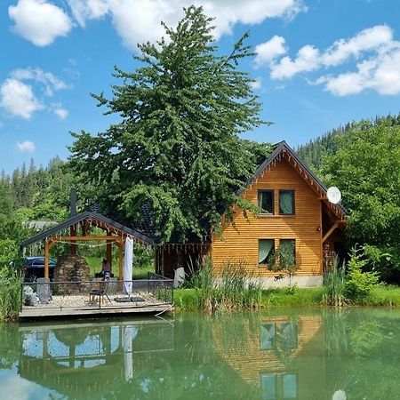 Moonlake Chalet Gainesti Εξωτερικό φωτογραφία