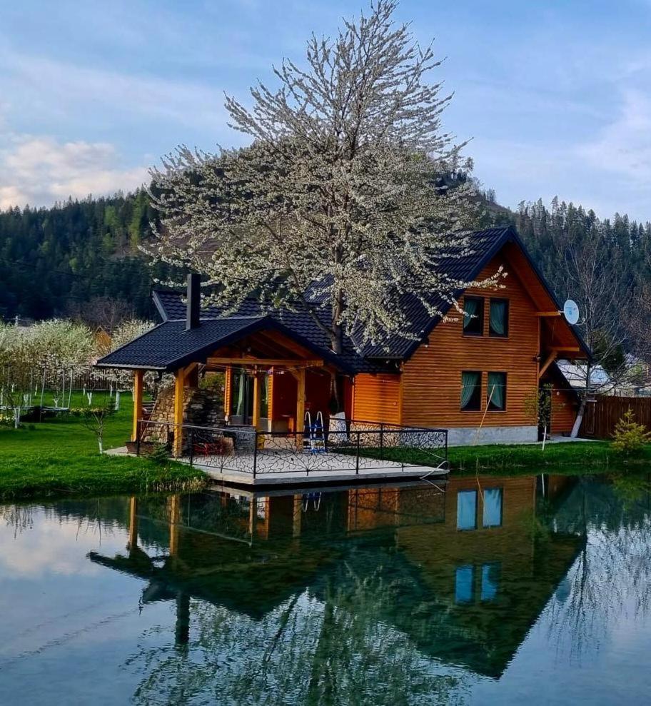 Moonlake Chalet Gainesti Εξωτερικό φωτογραφία