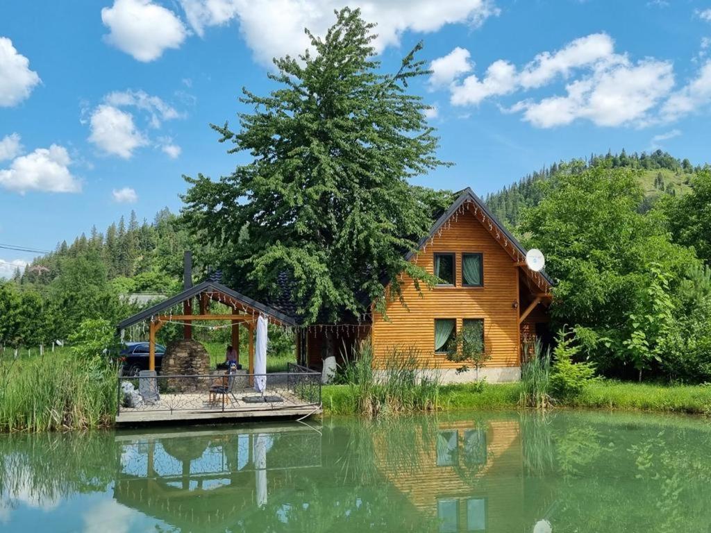 Moonlake Chalet Gainesti Εξωτερικό φωτογραφία