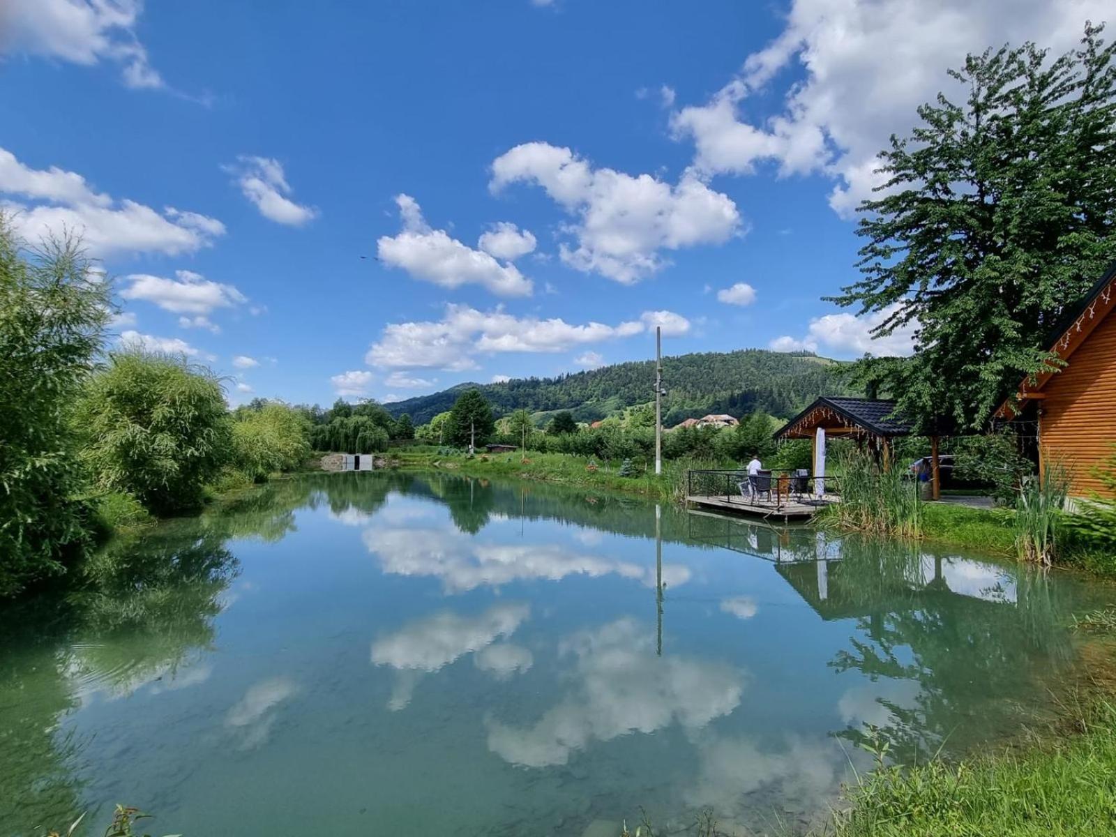 Moonlake Chalet Gainesti Εξωτερικό φωτογραφία