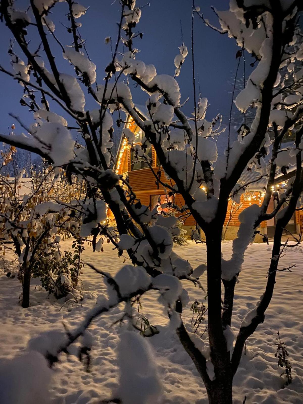 Moonlake Chalet Gainesti Εξωτερικό φωτογραφία