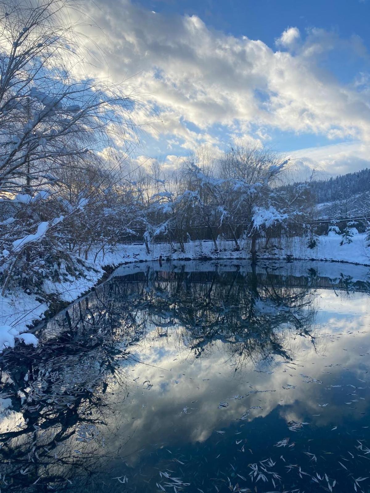 Moonlake Chalet Gainesti Εξωτερικό φωτογραφία
