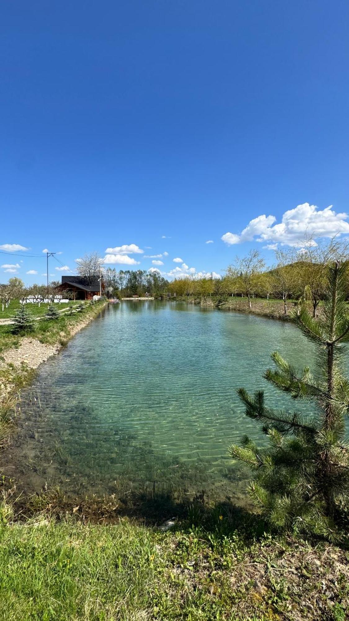 Moonlake Chalet Gainesti Εξωτερικό φωτογραφία