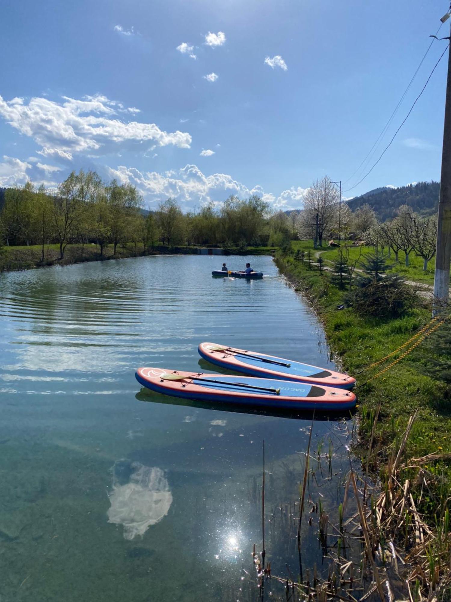 Moonlake Chalet Gainesti Εξωτερικό φωτογραφία