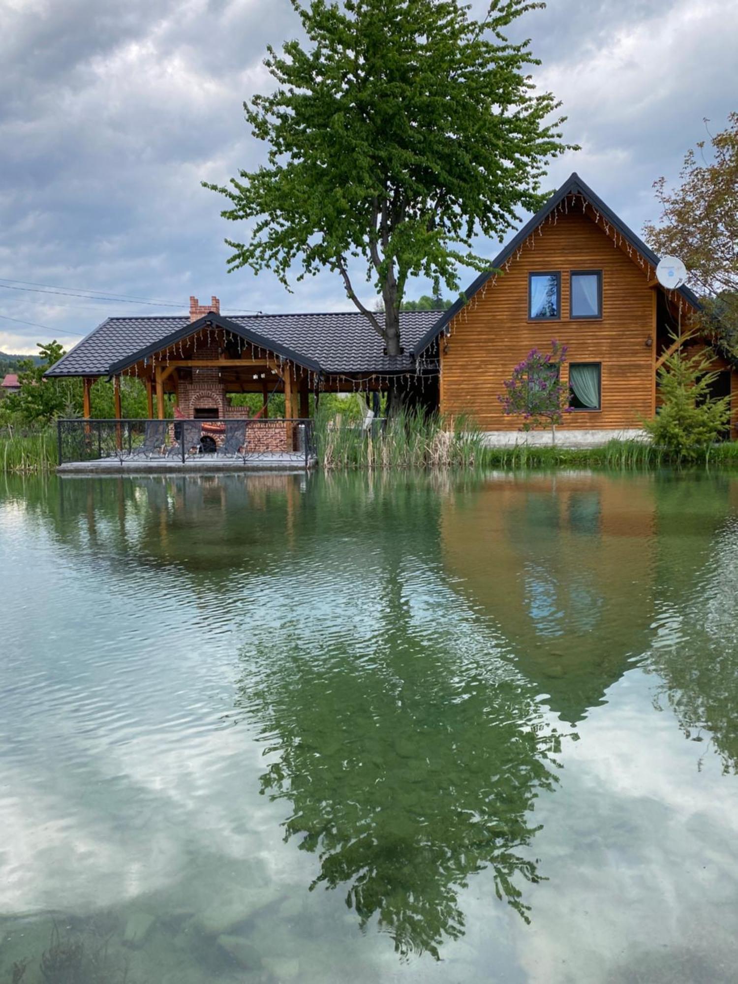 Moonlake Chalet Gainesti Εξωτερικό φωτογραφία
